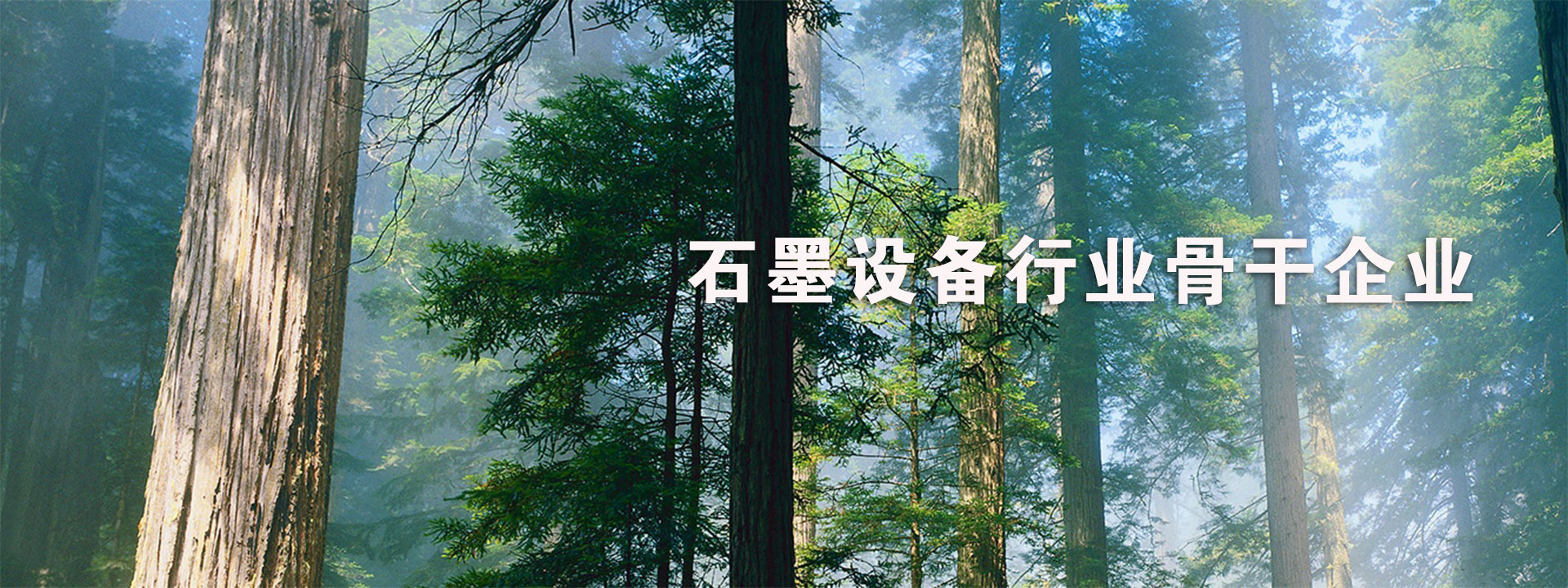 濟(jì)寧泰銘重工機(jī)械有限公司